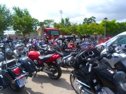 XIX Concentracion - 2012